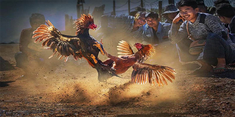 king 79 xổ số bữa nay