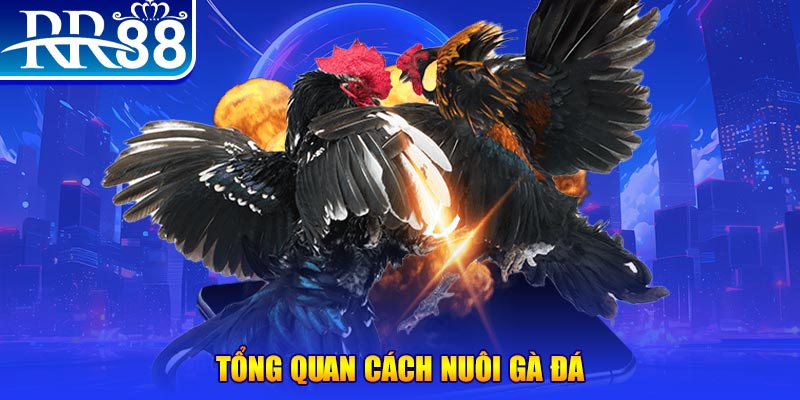 king 79 game nổ hũ rút tiền mặt là gì