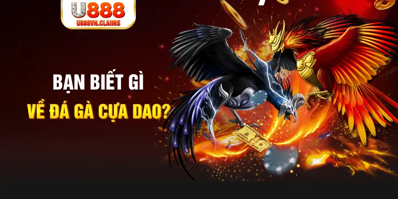 king 79 SW Xổ Số