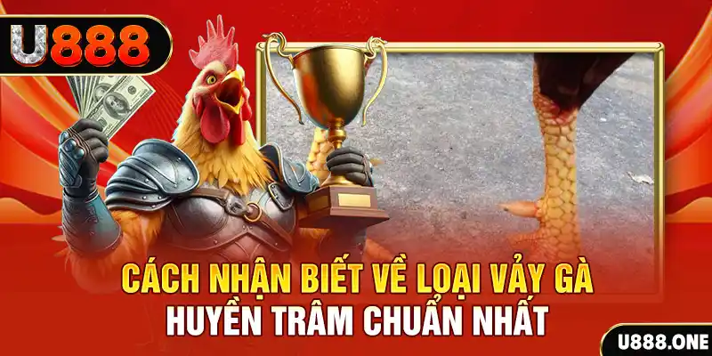 king 79 đăng nhập nổ hũ số 1