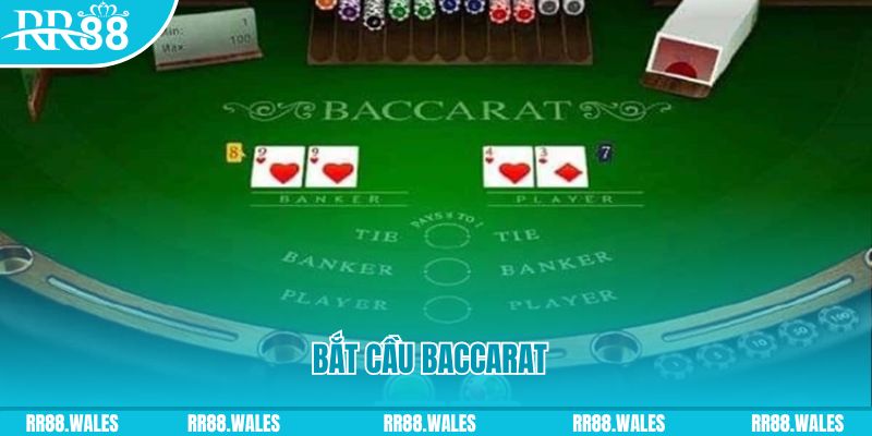 king 79 what are the best online casino games