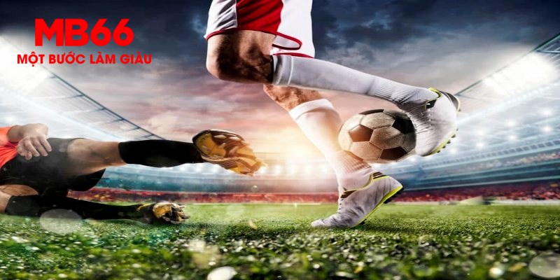 king 79 trực tiếp đá gà thomo