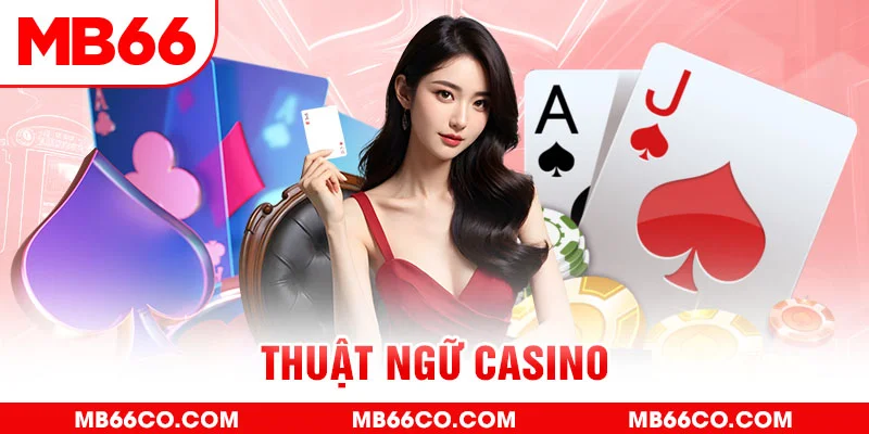 king 79 gà chọi c1 mới nhất