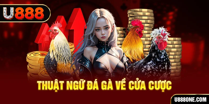 king 79 hơn cả bạn bè