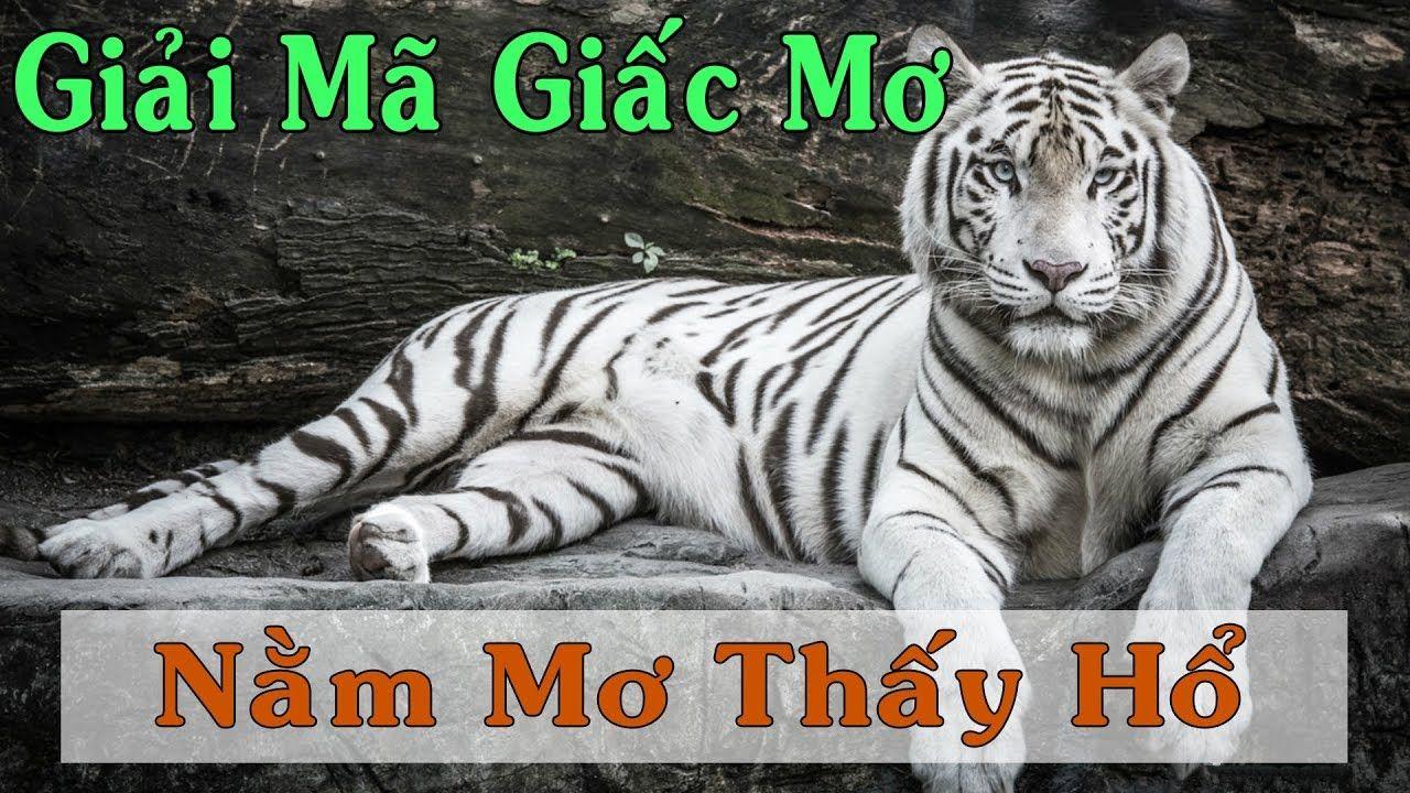 king 79 nổ hũ là game gì