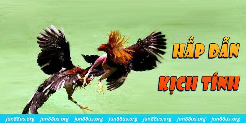 king 79 đăng nhập roulette online