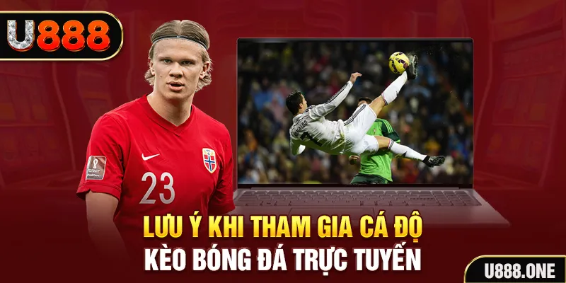 king 79 đăng nhập tiến lên miền nam khuyến mãi