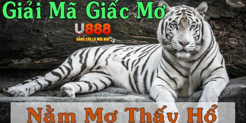 king 79 xổ số miền bắc xổ số miền bắc