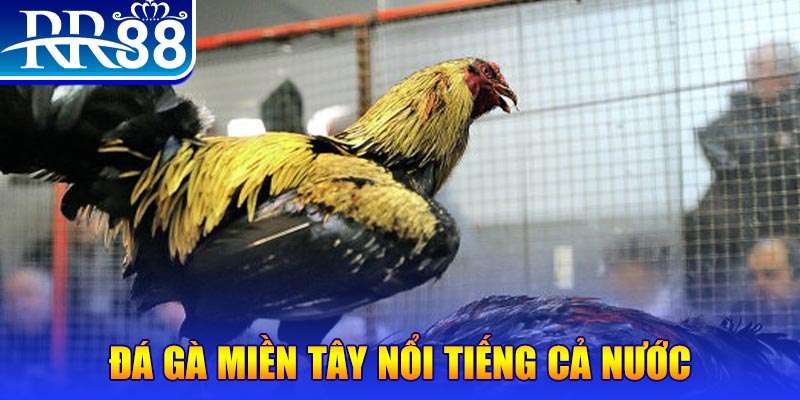 king 79 xổ số đại phát