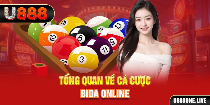 king 79 kết quả xổ số kiến thiết miền bắc
