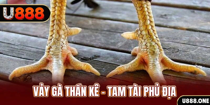 king 79 xổ số miền trung thứ hai hàng tuần