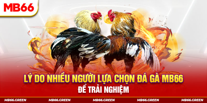 king 79 đăng nhập liêng trực tiếp