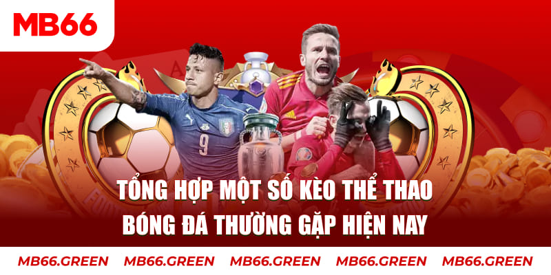 king 79 người chia bài trong casino gọi là gì