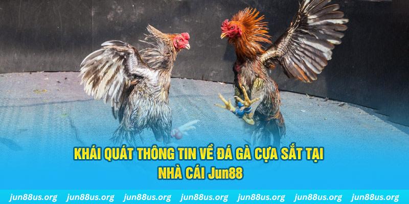 king 79 xổ số miền bắc thứ bảy hàng tuần