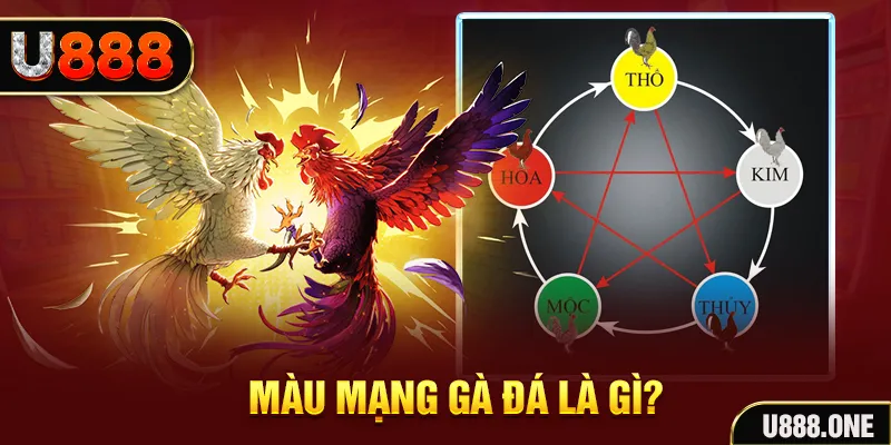 king 79 xổ số miền trung thứ tư hàng tuần
