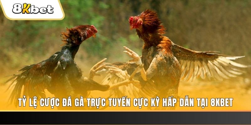 king 79 đăng nhập mậu binh online