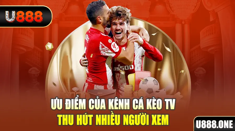 king 79 gà chọi cu cần