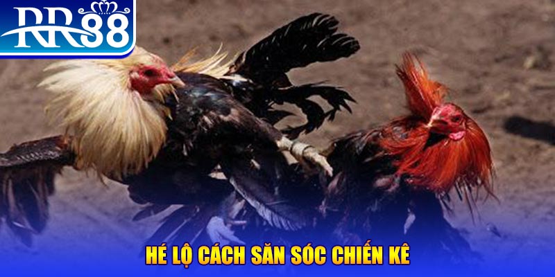 king 79 xổ số miền trung thứ tư