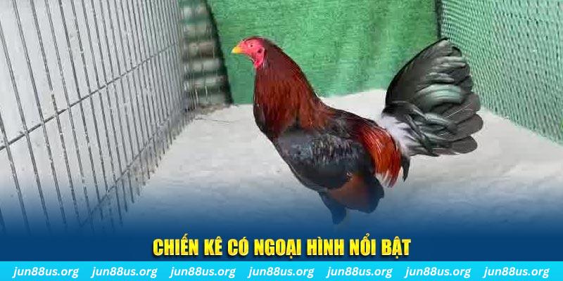 king 79 game bắn cá