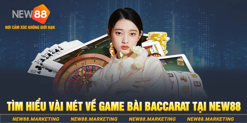 king 79 gà chọi c1 ô taxi