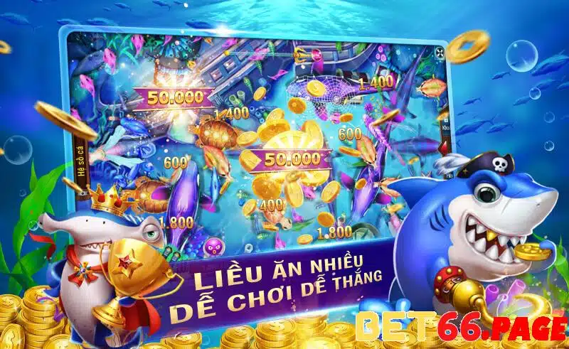 king 79 1 slot là gì