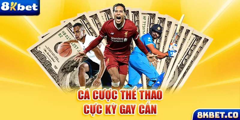 king 79 xem đá gà trực tiếp